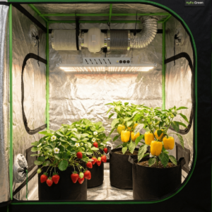 Biobizz 100x100x200 Hazır Kabin Set - Görsel 3