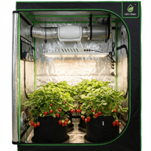 Biobizz 100x100x200 Hazır Kabin Set - Görsel 2
